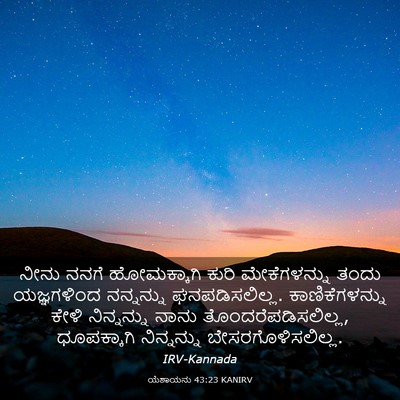 Picture 03 - ಯೆಶಾಯನು 43:23 KANIRV - ನೀನು ನನಗೆ - Bible Verse Picture