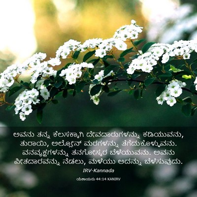Picture 03 - ಯೆಶಾಯನು 44:14 KANIRV - ಅವನು ತನ್ನ - Bible Verse Picture