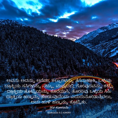 Picture 03 - ಯೆಶಾಯನು 5:2 KANIRV - ಅವನು ಅದನ್ನು ಅಗೆದು, - Bible Verse Picture