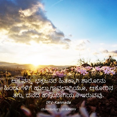 Picture 03 - ಯೆಶಾಯನು 65:10 KANIRV - ಆಗ ನನ್ನ ಭಕ್ತಜನರ - Bible Verse Picture