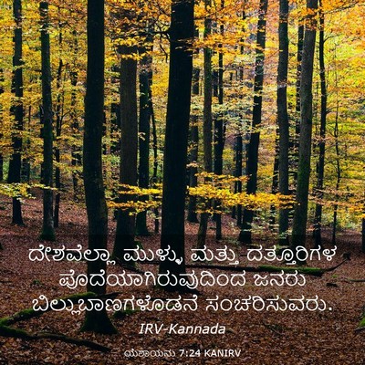 Picture 03 - ಯೆಶಾಯನು 7:24 KANIRV - ದೇಶವೆಲ್ಲಾ ಮುಳ್ಳು - Bible Verse Picture