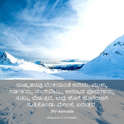 Picture 03 - ಯೆಶಾಯನು 9:18 KANIRV - ದುಷ್ಟತನವು - Bible Verse Picture