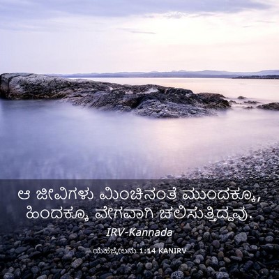Picture 03 - ಯೆಹೆಜ್ಕೇಲನು 1:14 KANIRV - ಆ ಜೀವಿಗಳು - Bible Verse Picture