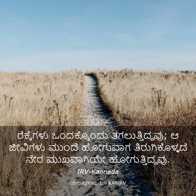 Picture 03 - ಯೆಹೆಜ್ಕೇಲನು 1:9 KANIRV - ರೆಕ್ಕೆಗಳು - Bible Verse Picture