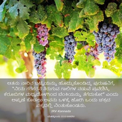 Picture 03 - ಯೆಹೆಜ್ಕೇಲನು 10:6 KANIRV - ಆತನು ನಾರಿನ - Bible Verse Picture