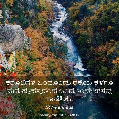 Picture 03 - ಯೆಹೆಜ್ಕೇಲನು 10:8 KANIRV - ಕೆರೂಬಿಗಳ ಒಂದೊಂದು - Bible Verse Picture