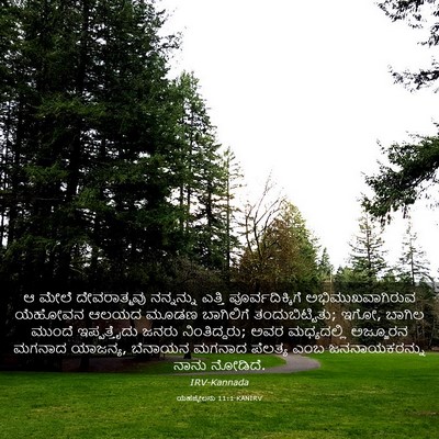 Picture 03 - ಯೆಹೆಜ್ಕೇಲನು 11:1 KANIRV - ಆ ಮೇಲೆ ದೇವರಾತ್ಮವು - Bible Verse Picture