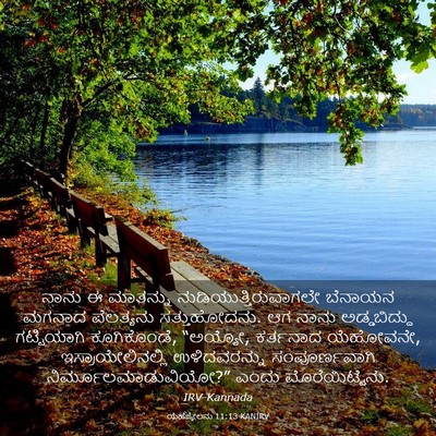 Picture 03 - ಯೆಹೆಜ್ಕೇಲನು 11:13 KANIRV - ನಾನು ಈ ಮಾತನ್ನು - Bible Verse Picture