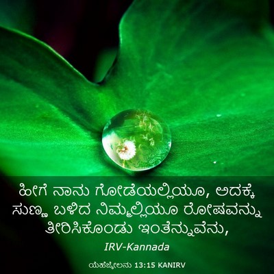 Picture 03 - ಯೆಹೆಜ್ಕೇಲನು 13:15 KANIRV - ಹೀಗೆ ನಾನು - Bible Verse Picture