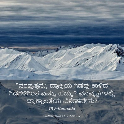 Picture 03 - ಯೆಹೆಜ್ಕೇಲನು 15:2 KANIRV - “ನರಪುತ್ರನೇ, - Bible Verse Picture