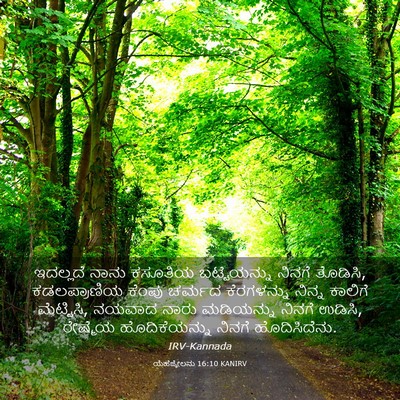 Picture 03 - ಯೆಹೆಜ್ಕೇಲನು 16:10 KANIRV - ಇದಲ್ಲದೆ ನಾನು - Bible Verse Picture