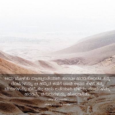 Picture 03 - ಯೆಹೆಜ್ಕೇಲನು 17:6 KANIRV - ಅದು ಮೊಳೆತು - Bible Verse Picture