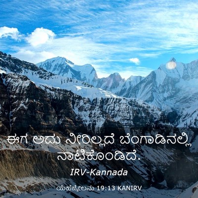 Picture 03 - ಯೆಹೆಜ್ಕೇಲನು 19:13 KANIRV - ಈಗ ಅದು ನೀರಿಲ್ಲದೆ - Bible Verse Picture