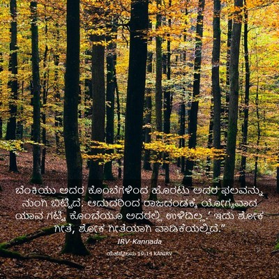 Picture 03 - ಯೆಹೆಜ್ಕೇಲನು 19:14 KANIRV - ಬೆಂಕಿಯು ಅದರ - Bible Verse Picture