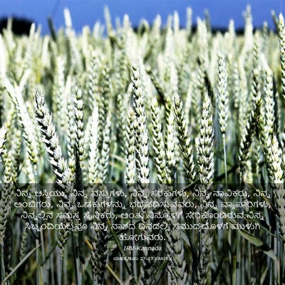 Picture 03 - ಯೆಹೆಜ್ಕೇಲನು 27:27 KANIRV - ನಿನ್ನ ಆಸ್ತಿಯು, - Bible Verse Picture