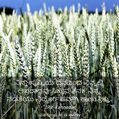 Picture 03 - ಯೆಹೆಜ್ಕೇಲನು 28:15 KANIRV - ನಿನ್ನ ಸೃಷ್ಟಿಯ - Bible Verse Picture