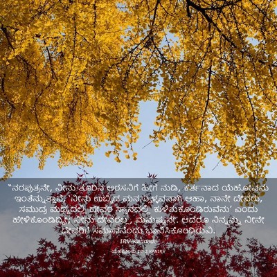 Picture 03 - ಯೆಹೆಜ್ಕೇಲನು 28:2 KANIRV - “ನರಪುತ್ರನೇ, ನೀನು - Bible Verse Picture