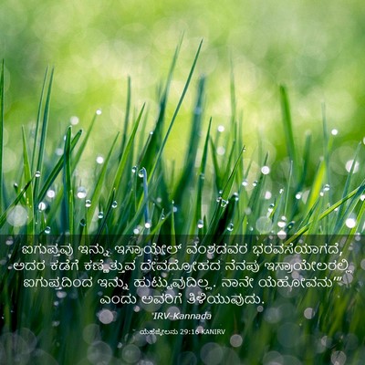 Picture 03 - ಯೆಹೆಜ್ಕೇಲನು 29:16 KANIRV - ಐಗುಪ್ತವು ಇನ್ನು - Bible Verse Picture