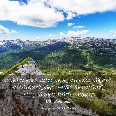 Picture 03 - ಯೆಹೆಜ್ಕೇಲನು 31:13 KANIRV - ಅದರ ಬುಡದ ಮೇಲೆ - Bible Verse Picture