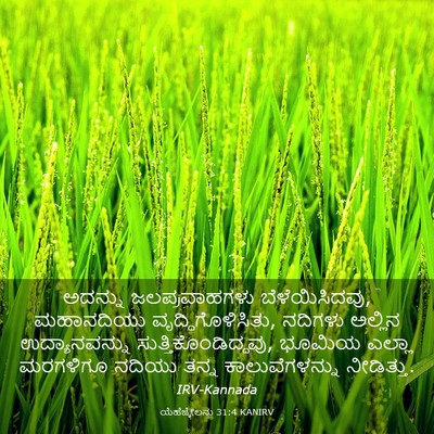 Picture 03 - ಯೆಹೆಜ್ಕೇಲನು 31:4 KANIRV - ಅದನ್ನು - Bible Verse Picture