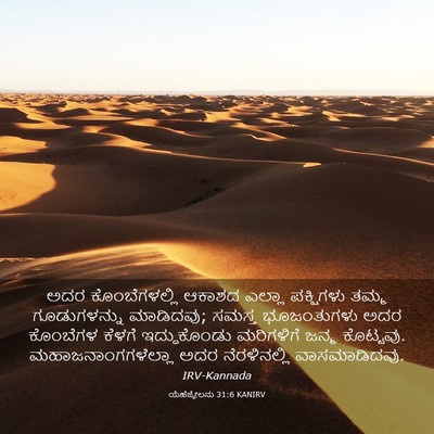 Picture 03 - ಯೆಹೆಜ್ಕೇಲನು 31:6 KANIRV - ಅದರ ಕೊಂಬೆಗಳಲ್ಲಿ - Bible Verse Picture