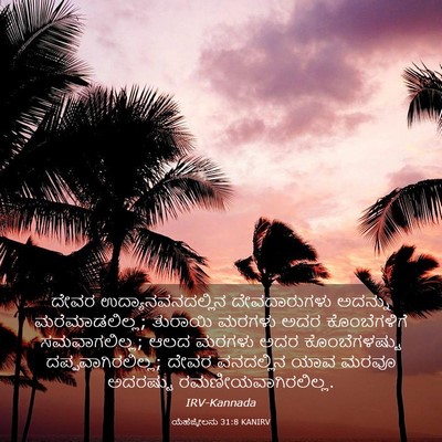 Picture 03 - ಯೆಹೆಜ್ಕೇಲನು 31:8 KANIRV - ದೇವರ - Bible Verse Picture