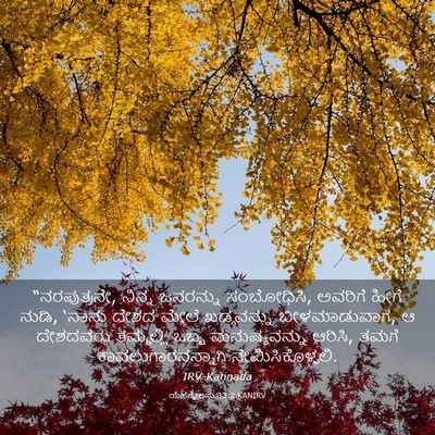 Picture 03 - ಯೆಹೆಜ್ಕೇಲನು 33:2 KANIRV - “ನರಪುತ್ರನೇ, ನಿನ್ನ - Bible Verse Picture