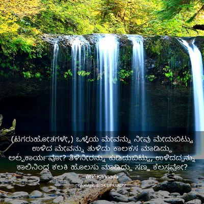 Picture 03 - ಯೆಹೆಜ್ಕೇಲನು 34:18 KANIRV - (ಟಗರುಹೋತಗಳೇ,) - Bible Verse Picture