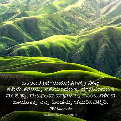 Picture 03 - ಯೆಹೆಜ್ಕೇಲನು 34:21 KANIRV - ಏಕೆಂದರೆ - Bible Verse Picture