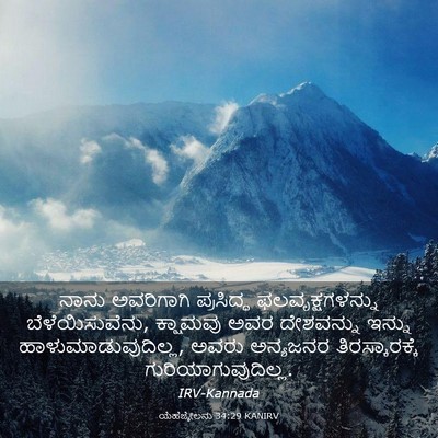Picture 03 - ಯೆಹೆಜ್ಕೇಲನು 34:29 KANIRV - ನಾನು ಅವರಿಗಾಗಿ - Bible Verse Picture