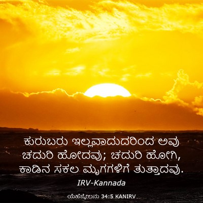 Picture 03 - ಯೆಹೆಜ್ಕೇಲನು 34:5 KANIRV - ಕುರುಬರು - Bible Verse Picture