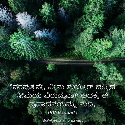 Picture 03 - ಯೆಹೆಜ್ಕೇಲನು 35:2 KANIRV - “ನರಪುತ್ರನೇ, ನೀನು - Bible Verse Picture