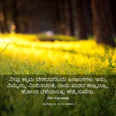 Picture 03 - ಯೆಹೆಜ್ಕೇಲನು 36:30 KANIRV - ನೀವು ಕ್ಷಾಮ - Bible Verse Picture