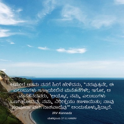 Picture 03 - ಯೆಹೆಜ್ಕೇಲನು 37:11 KANIRV - ಆಮೇಲೆ ಆತನು ನನಗೆ - Bible Verse Picture