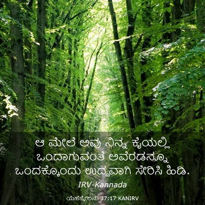 Picture 03 - ಯೆಹೆಜ್ಕೇಲನು 37:17 KANIRV - ಆ ಮೇಲೆ ಅವು ನಿನ್ನ - Bible Verse Picture