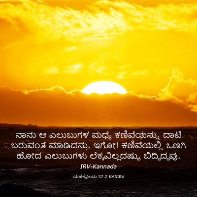 Picture 03 - ಯೆಹೆಜ್ಕೇಲನು 37:2 KANIRV - ನಾನು ಆ ಎಲುಬುಗಳ - Bible Verse Picture