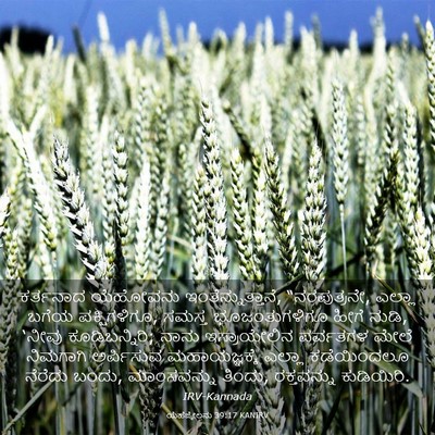 Picture 03 - ಯೆಹೆಜ್ಕೇಲನು 39:17 KANIRV - ಕರ್ತನಾದ ಯೆಹೋವನು - Bible Verse Picture