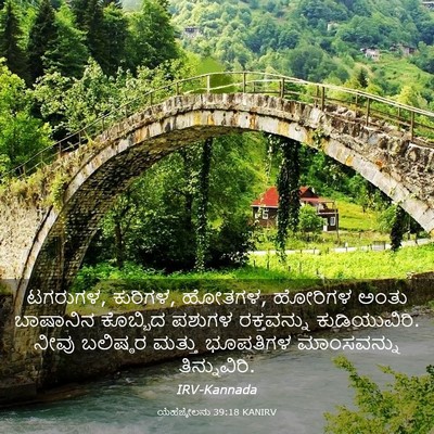 Picture 03 - ಯೆಹೆಜ್ಕೇಲನು 39:18 KANIRV - ಟಗರುಗಳ, ಕುರಿಗಳ, - Bible Verse Picture