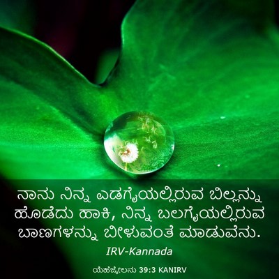 Picture 03 - ಯೆಹೆಜ್ಕೇಲನು 39:3 KANIRV - ನಾನು ನಿನ್ನ - Bible Verse Picture