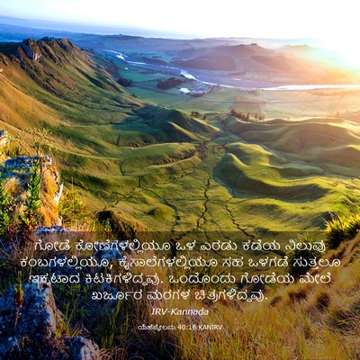 Picture 03 - ಯೆಹೆಜ್ಕೇಲನು 40:16 KANIRV - ಗೋಡೆ ಕೋಣೆಗಳಲ್ಲಿಯೂ - Bible Verse Picture