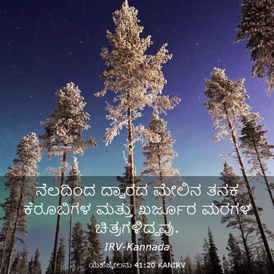 Picture 03 - ಯೆಹೆಜ್ಕೇಲನು 41:20 KANIRV - ನೆಲದಿಂದ ದ್ವಾರದ - Bible Verse Picture