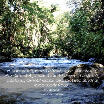 Picture 03 - ಯೆಹೆಜ್ಕೇಲನು 41:25 KANIRV - ಆ ಬಾಗಿಲುಗಳಲ್ಲಿ - Bible Verse Picture
