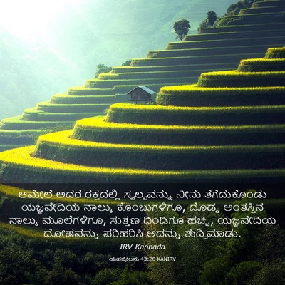 Picture 03 - ಯೆಹೆಜ್ಕೇಲನು 43:20 KANIRV - ಆಮೇಲೆ ಅದರ - Bible Verse Picture