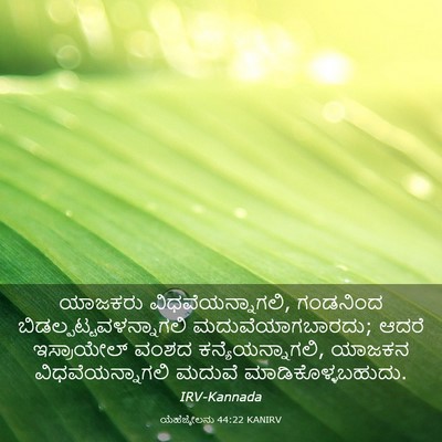Picture 03 - ಯೆಹೆಜ್ಕೇಲನು 44:22 KANIRV - ಯಾಜಕರು - Bible Verse Picture