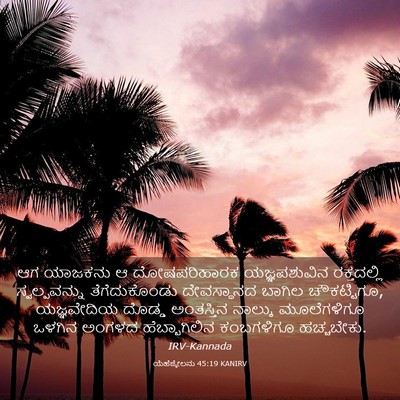 Picture 03 - ಯೆಹೆಜ್ಕೇಲನು 45:19 KANIRV - ಆಗ ಯಾಜಕನು ಆ - Bible Verse Picture