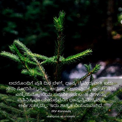 Picture 03 - ಯೆಹೆಜ್ಕೇಲನು 46:14 KANIRV - ಅದರೊಂದಿಗೆ ಪ್ರತಿ - Bible Verse Picture