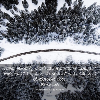 Picture 03 - ಯೆಹೆಜ್ಕೇಲನು 47:23 KANIRV - ಯಾವ ಕುಲದಲ್ಲಿ - Bible Verse Picture