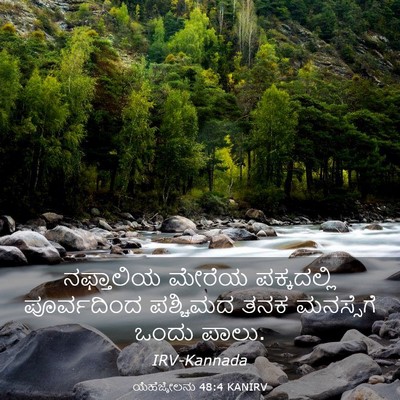 Picture 03 - ಯೆಹೆಜ್ಕೇಲನು 48:4 KANIRV - ನಫ್ತಾಲಿಯ ಮೇರೆಯ - Bible Verse Picture