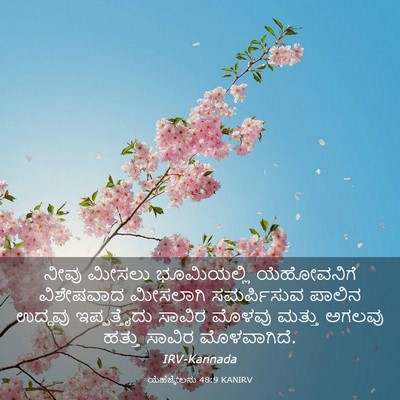 Picture 03 - ಯೆಹೆಜ್ಕೇಲನು 48:9 KANIRV - ನೀವು ಮೀಸಲು - Bible Verse Picture
