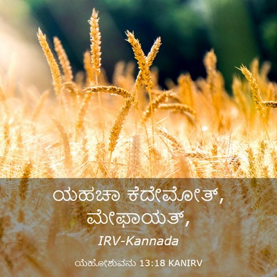 Picture 03 - ಯೆಹೋಶುವನು 13:18 KANIRV - ಯಹಚಾ ಕೆದೇಮೋತ್, - Bible Verse Picture